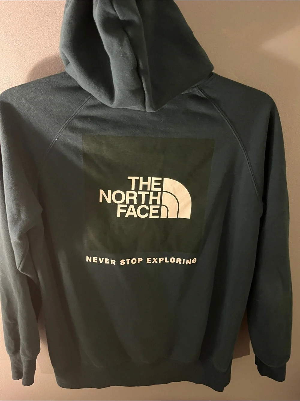 The North Face Women’s Teal Pullover Hoodie with White Logo